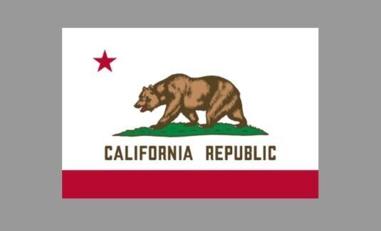 California State Flag Die Cut Glossy Fridge Magnet