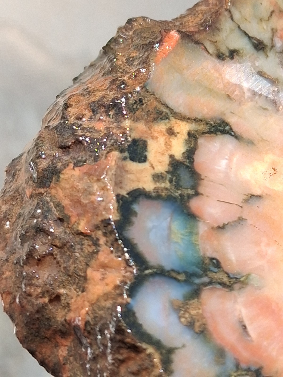 Amazing Opalized Jungle Agate, Wild Colora An Amazing Collector Slab Or Lapidary