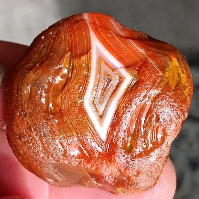 1.27oz Lake Superior Agate,Museum Quality A+++