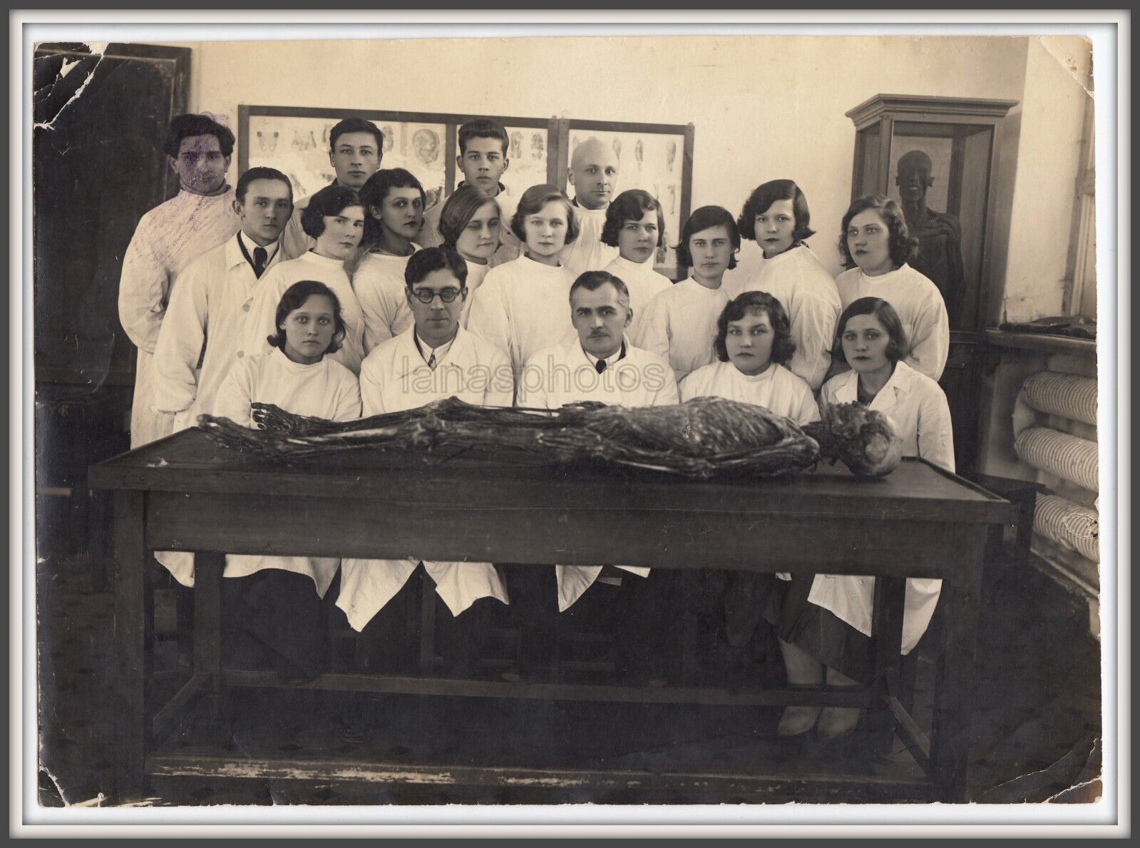 Medical students University Anatomy Anatomical theatre Post mortem antique photo