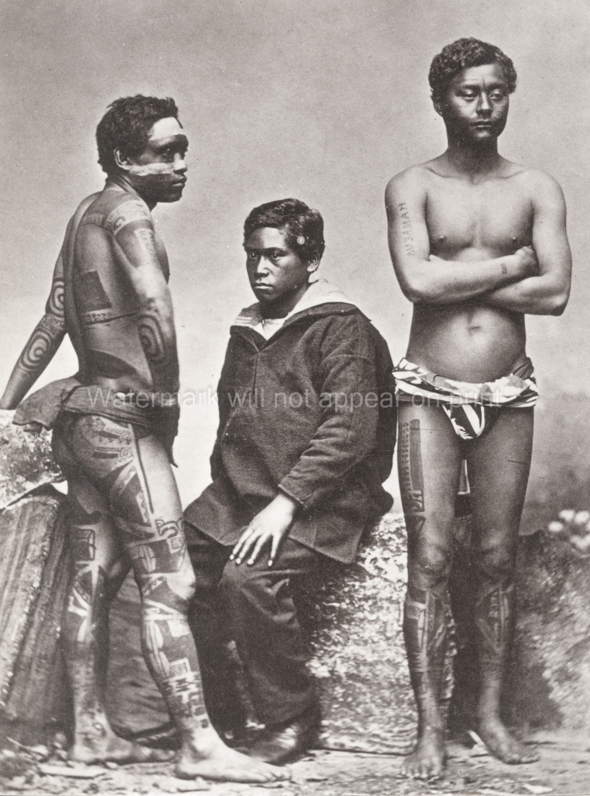 Pacific Islands Samoan Men Traditional Tattoos Portrait Vtg. Photo 19thC.