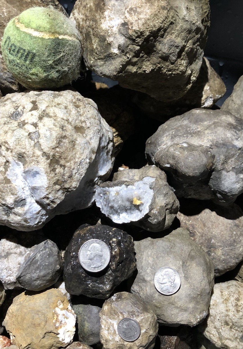 5lb Lot of Geodes from Keokuk Iowa Cleaned of Mississippi Mud-Unopened Nodules 5lb Lot of Geodes from Keokuk Iowa Cleaned of Mississippi Mud-Unopened Nodules