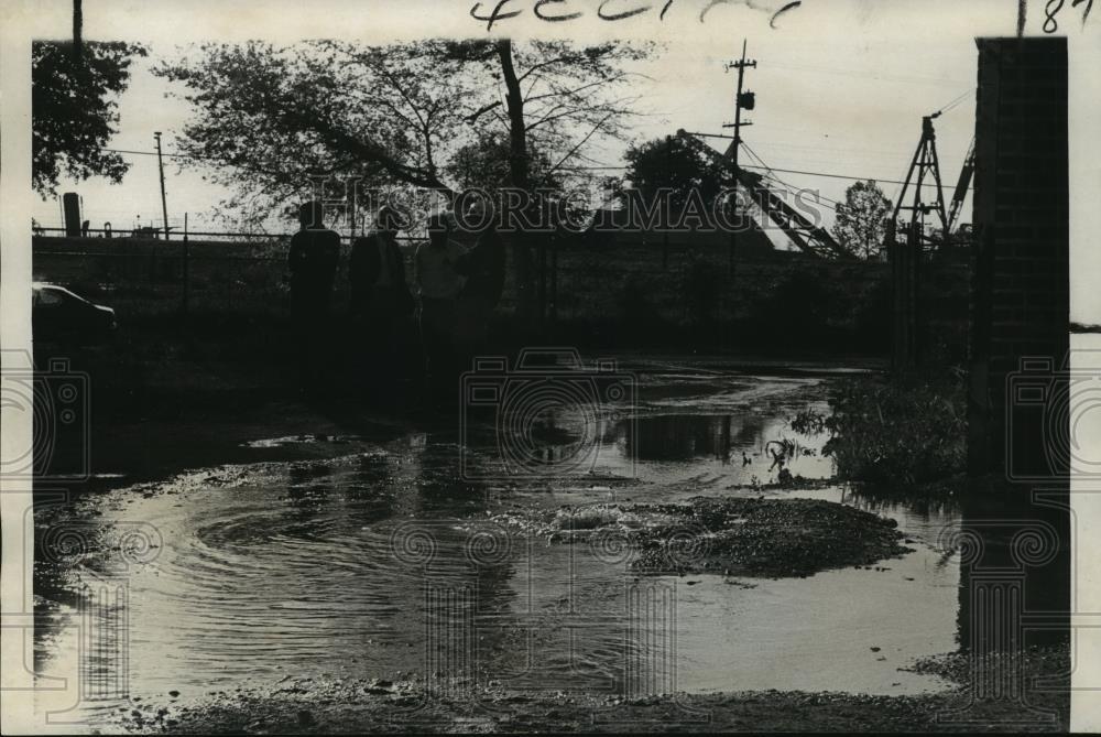 1973 Press Photo Audubon Park - Flooding Caused by Water Under Levee - noa23090 1973 Press Photo Audubon Park - Flooding Caused by Water Under Levee - noa23090