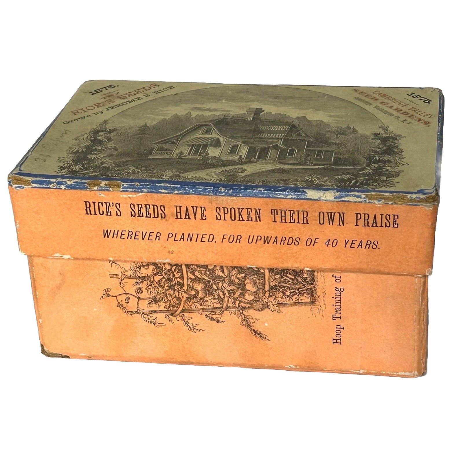 Rare Antique Rice’s Seed Box 1875 Salesman Sample Cambridge Valley Seed Gardens Rare Antique Rice’s Seed Box 1875 Salesman Sample Cambridge Valley Seed Gardens