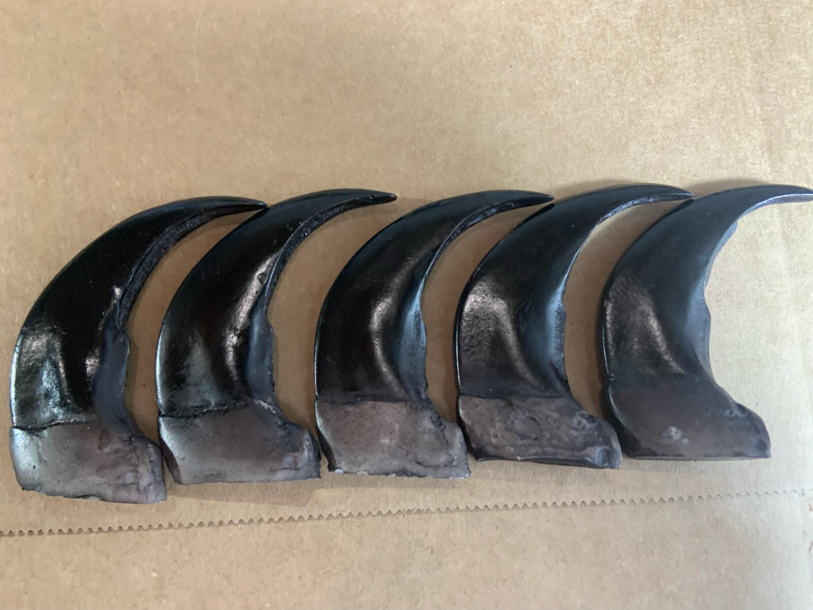 Five Large 3" Black Bear Claws You Get a Total of (5) - Plus Shipping is Free Five Large 3" Black Bear Claws You Get a Total of (5) - Plus Shipping is Free