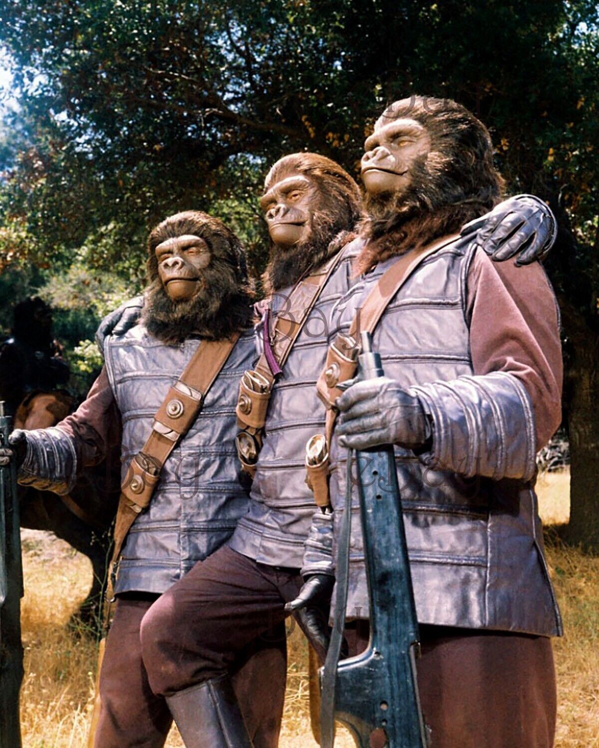 Planet of the Apes 8X10 Photo Reprint