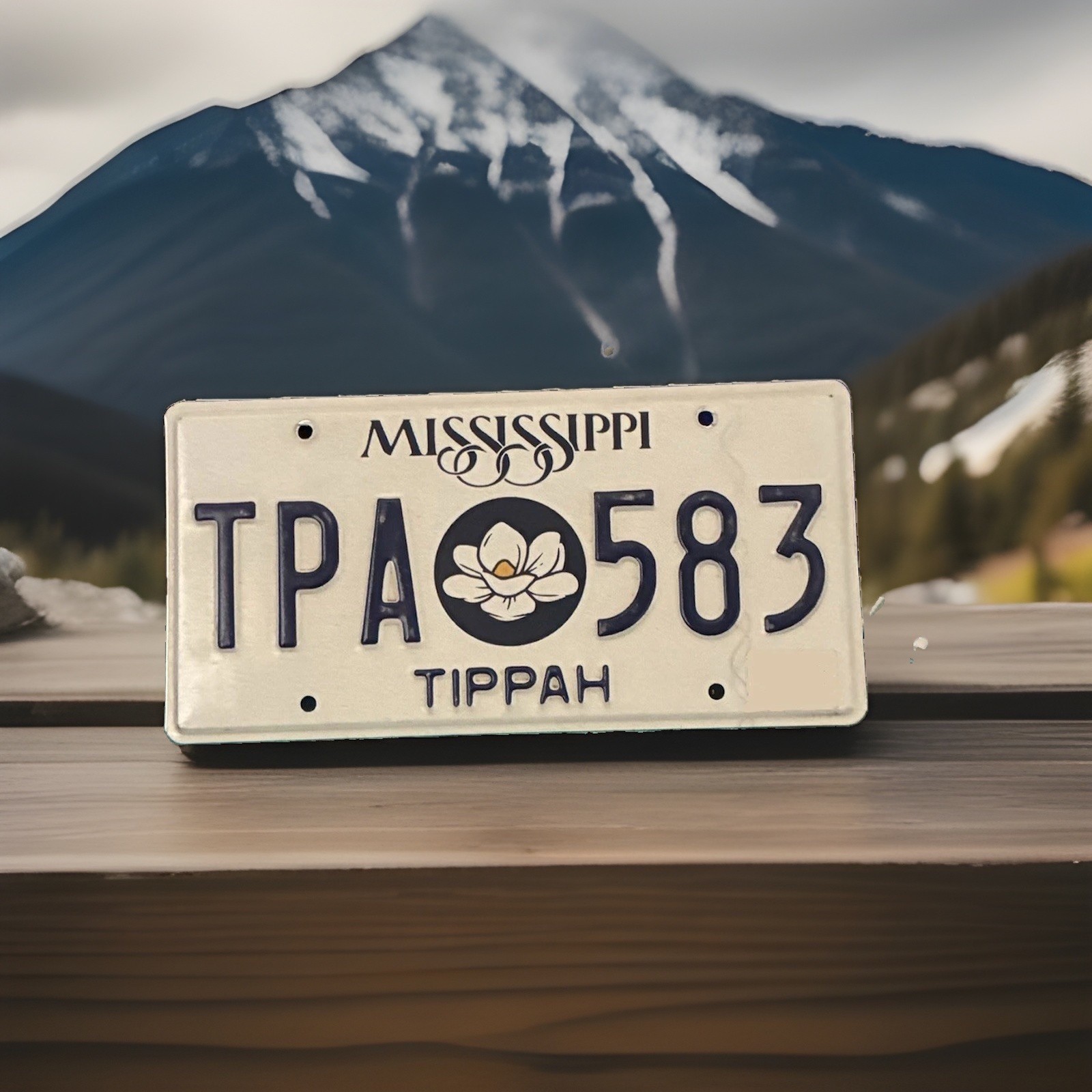 2020s Mississippi Magnolia License Plate TPA 583 Tippah County 2020s Mississippi Magnolia License Plate TPA 583 Tippah County