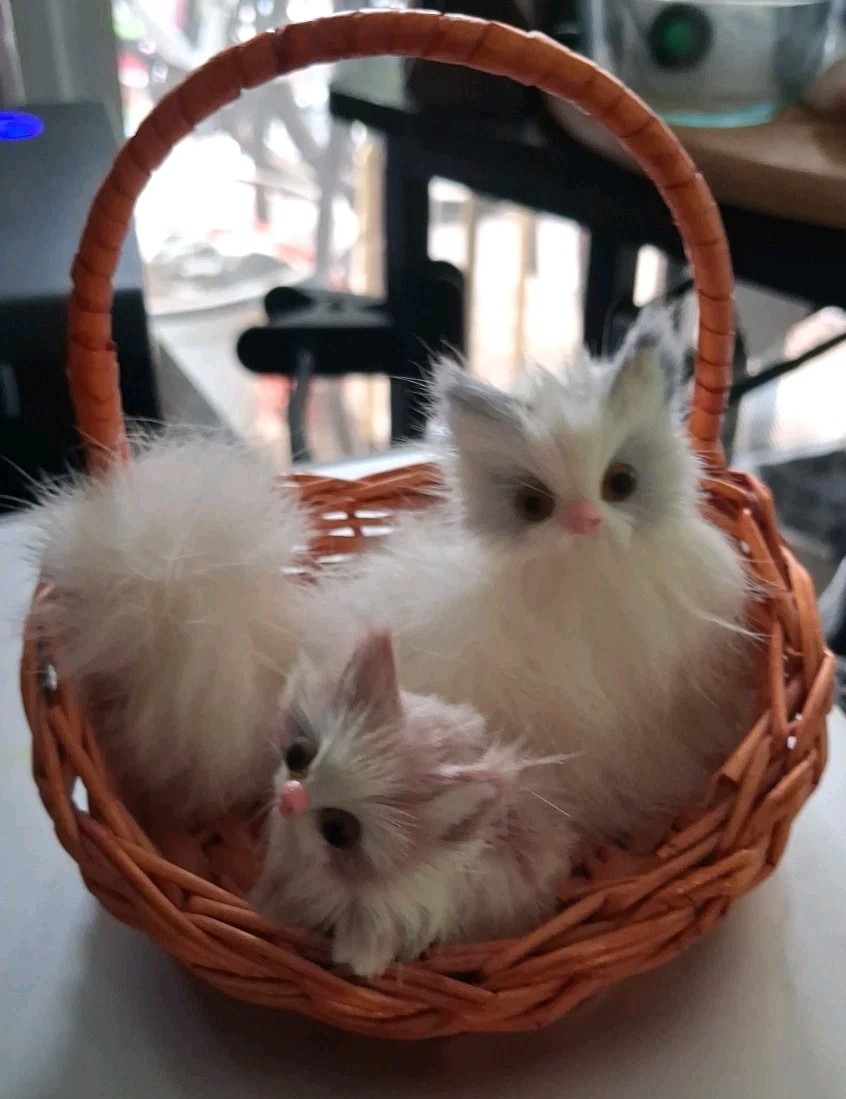 Vintage Real Hair Cats In A Wicker Basket Vintage Real Hair Cats In A Wicker Basket