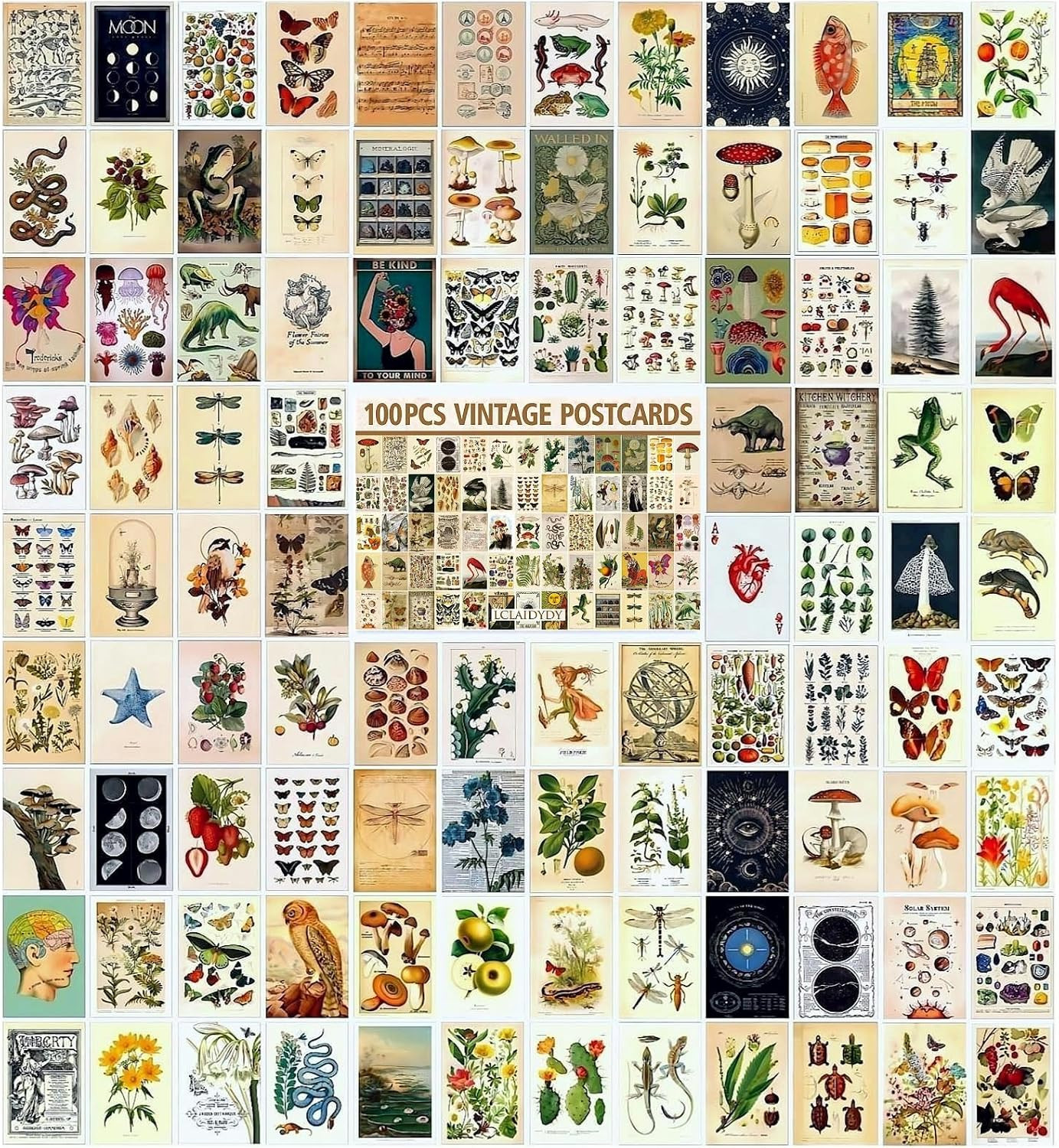 100 PCS Vintage Botanical Postcards 4x6 Aesthetic Retro Art Card Set 100 PCS Vintage Botanical Postcards 4x6 Aesthetic Retro Art Card Set