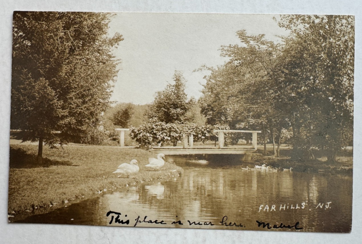1911 NJ RPPC Postcard Far Hills New Jersey Park Bridge Swans Ducks Stream Scenic 1911 NJ RPPC Postcard Far Hills New Jersey Park Bridge Swans Ducks Stream Scenic