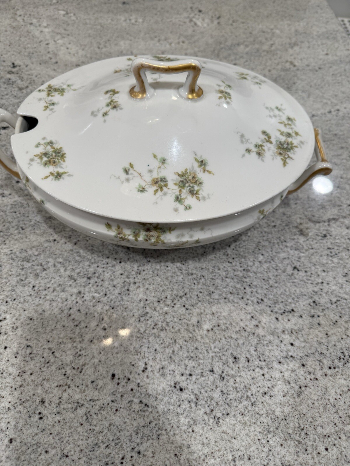 Antique/Vintage Theodore Haviland Limoges France Large Soup Tureen W/Lid Antique/Vintage Theodore Haviland Limoges France Large Soup Tureen W/Lid