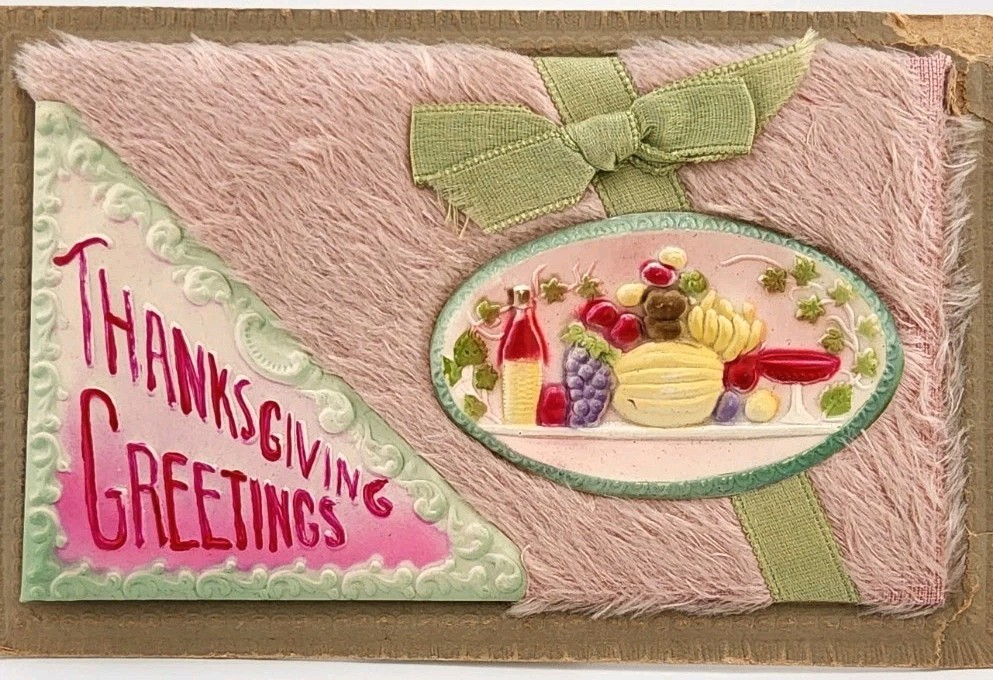 c1910 Thanksgiving Greetings Novelty - Applique Plush Postcard ~ #-10017 c1910 Thanksgiving Greetings Novelty - Applique Plush Postcard ~ #-10017