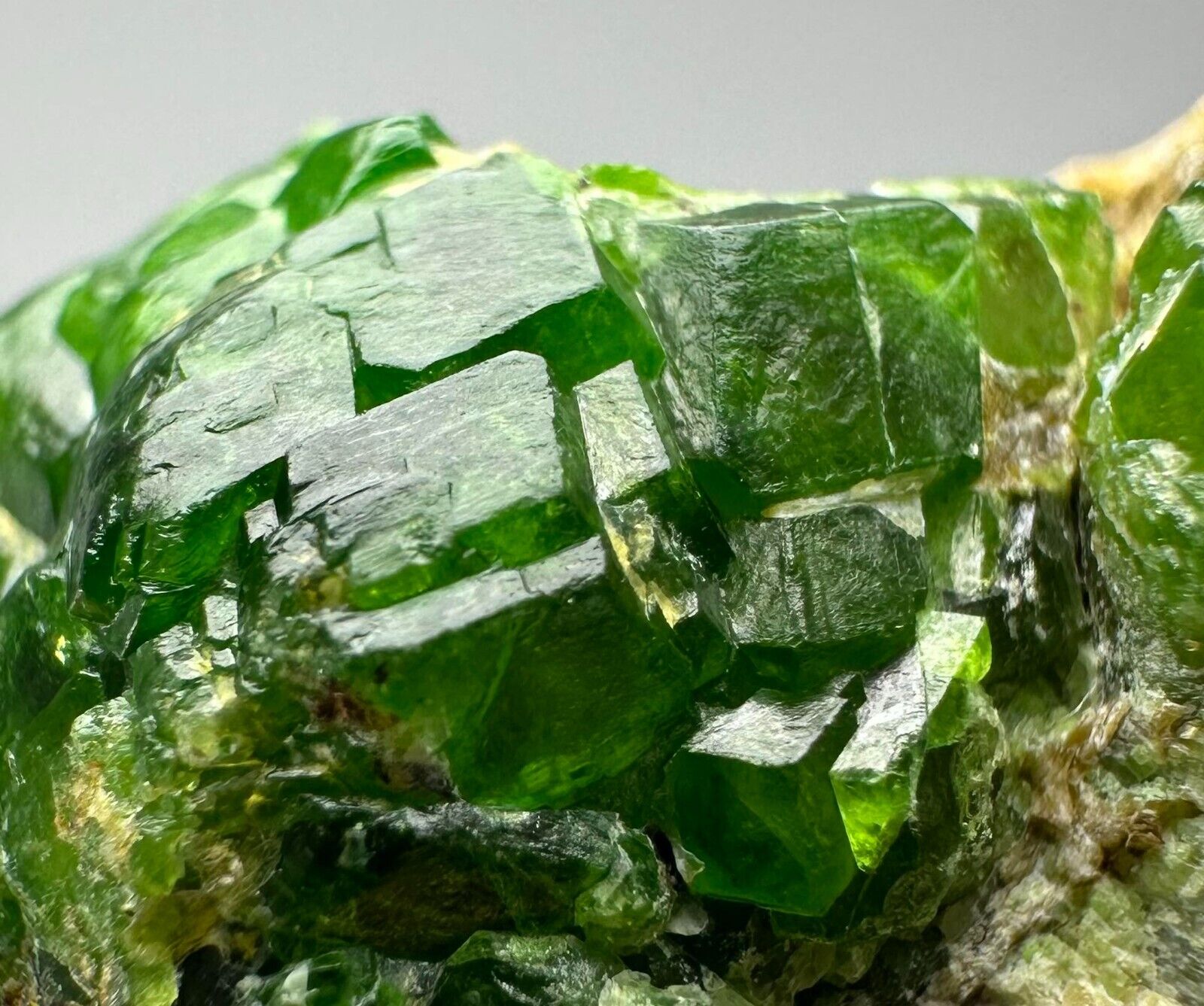 195 Ct. UNUSUAL  Top Green Demantoid Garnet Crystals Bunch On Matrix