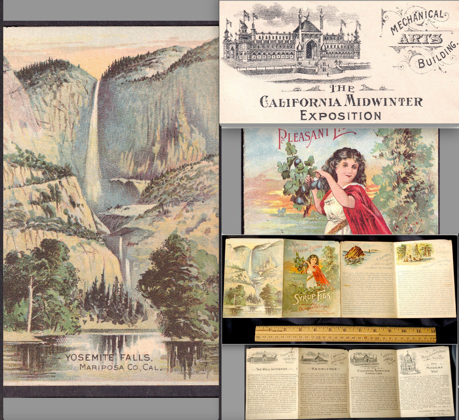 Yosemite c 1894 San Francisco California Fig Syrup Winter Exposition Trade Card