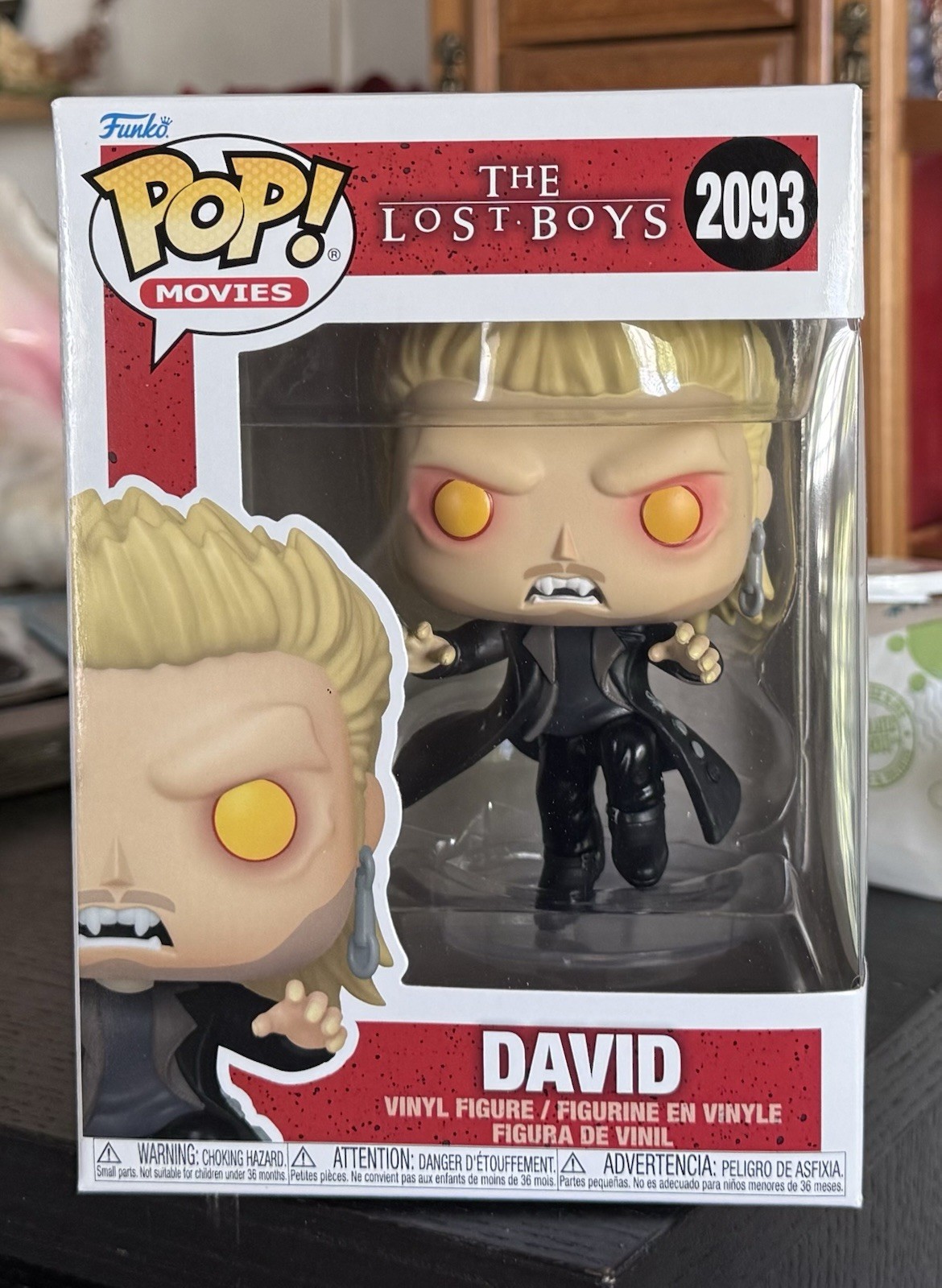 Funko Pop Movies: (Floating) DAVID #2091 (The Lost Boys) w/Protector IN HAND Funko Pop Movies: (Floating) DAVID #2091 (The Lost Boys) w/Protector IN HAND