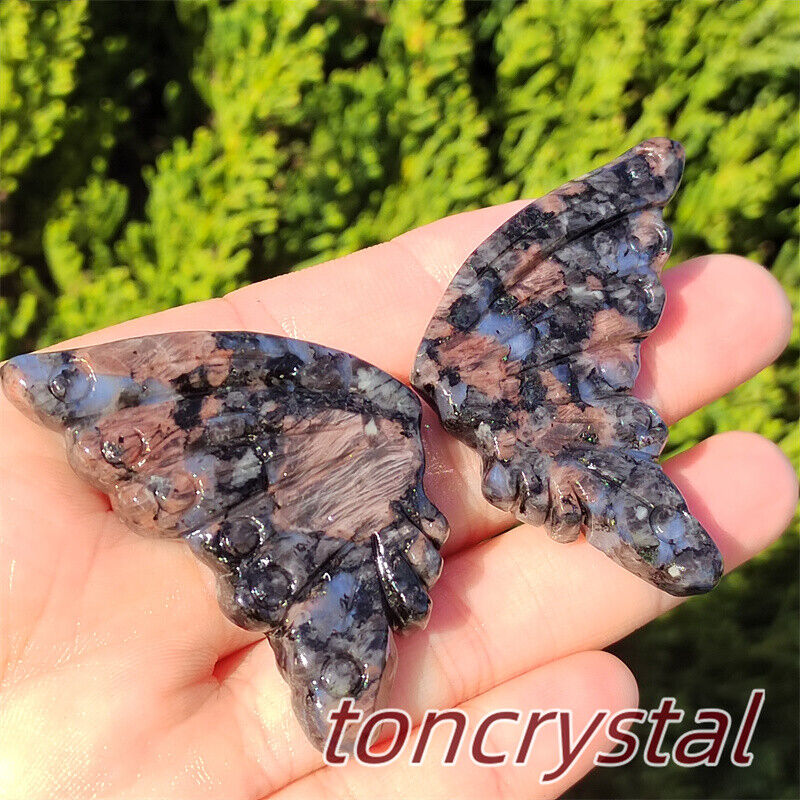 2pc Quartz Crystal Natural Blue Amphibole Carved Butterfly Wings Skull A Pair