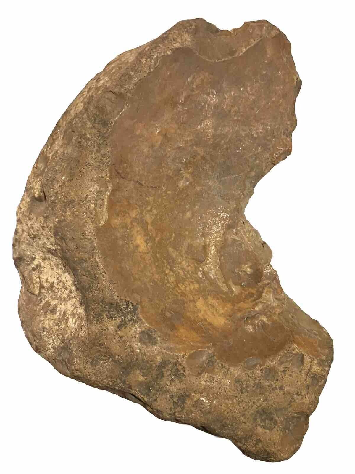 Large 7inch By 5 Inch PrehistoricNative AmericanFlint Axe Found In Central Texas