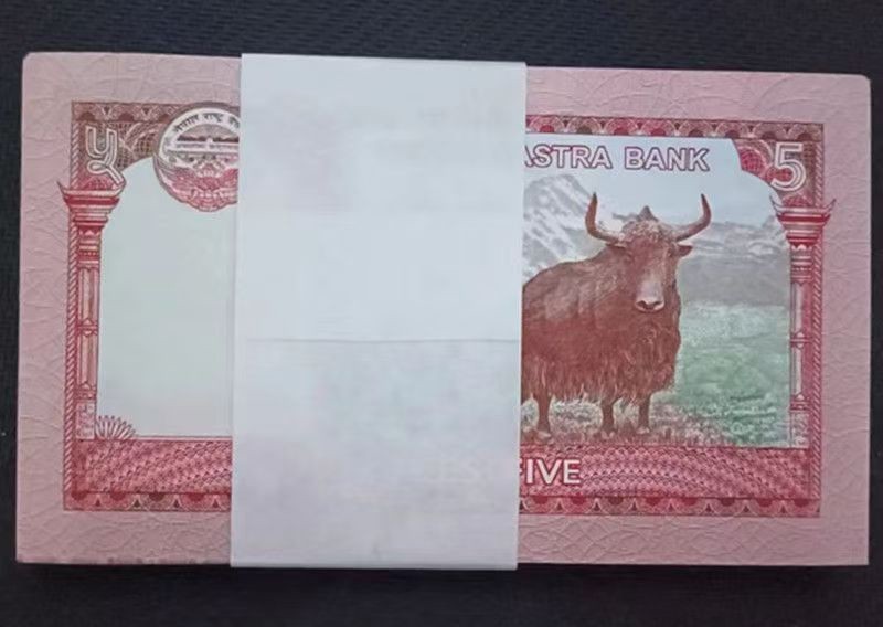 Nepal, 5 Rupees, 100 Pcs, P 76, 2017/2020 World Banknotes, UNC, Everest, Yak