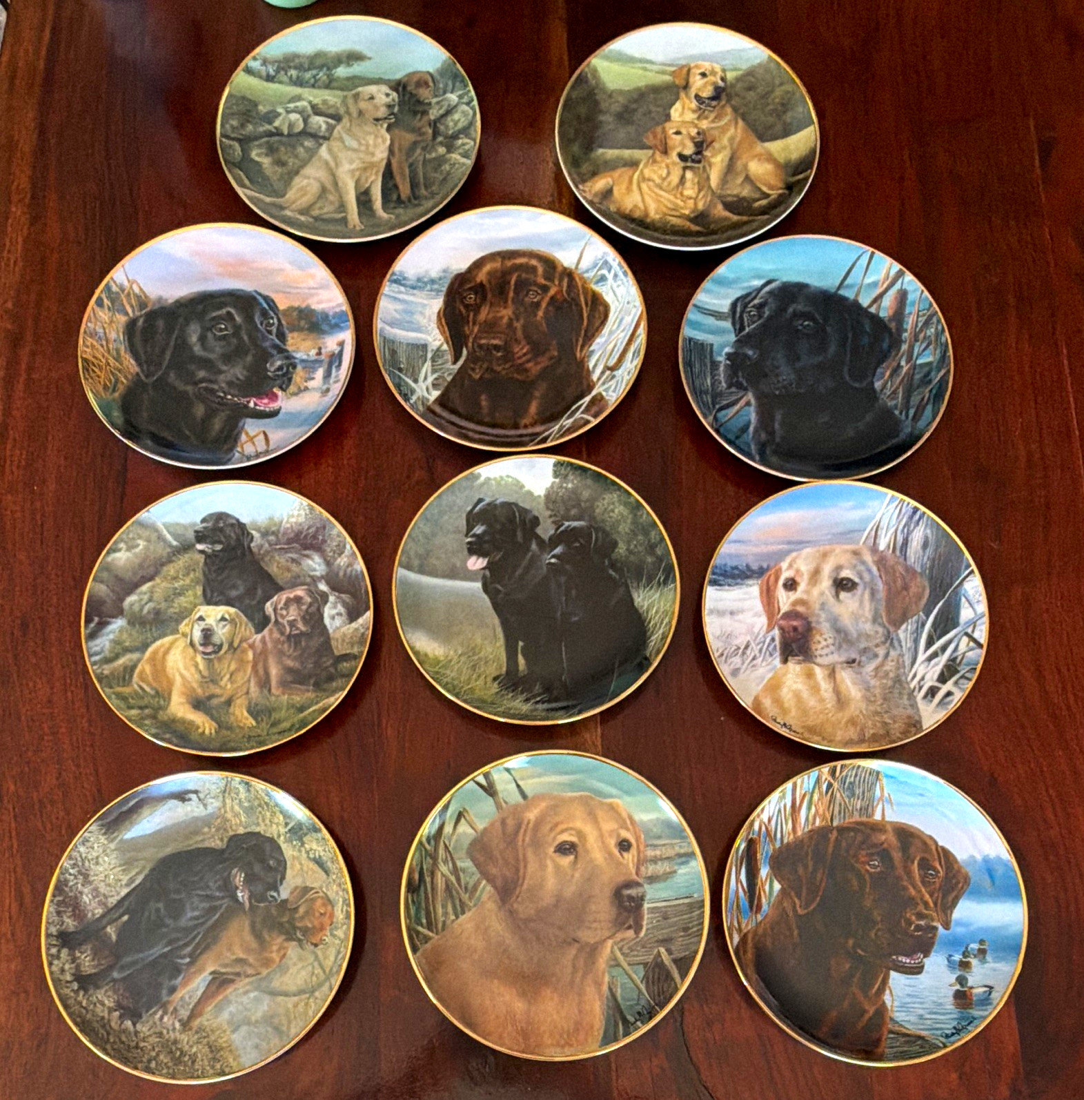 Labrador Retriever Porcelain Collector Plate Set of 10 Dog Decorative Plates Labrador Retriever Porcelain Collector Plate Set of 10 Dog Decorative Plates