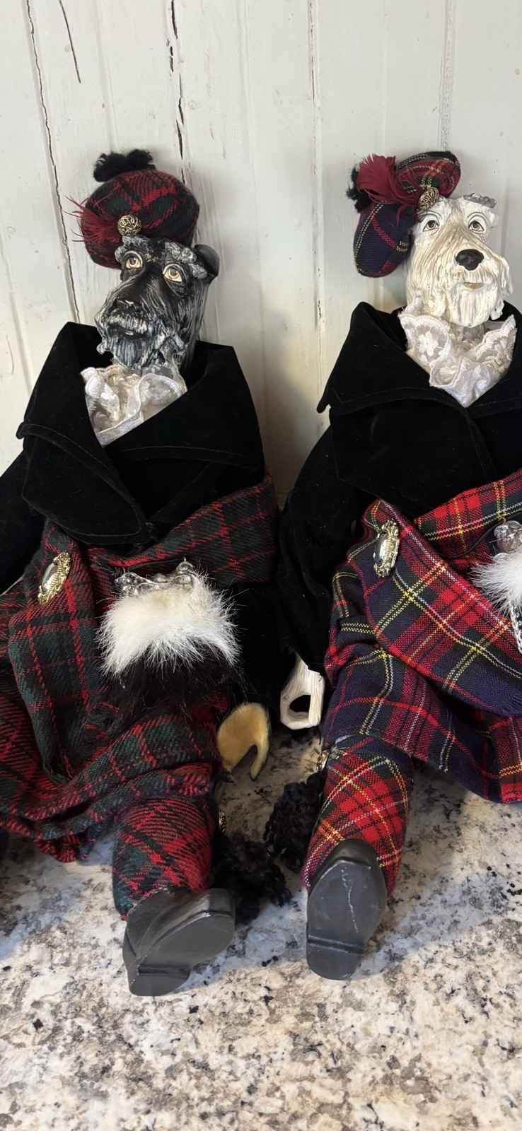 Scottish Terrier Dogs In  Kilt Tartan Highland Dress Heritage