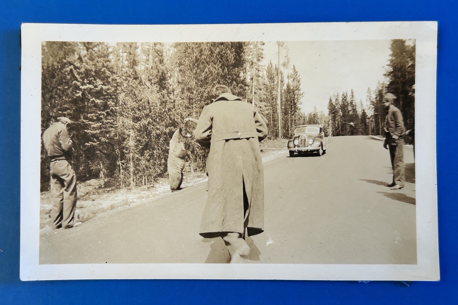 Vintage 1934 DeSoto Airflow Bear Wildlife Original Photo Antique Car Vintage 1934 DeSoto Airflow Bear Wildlife Original Photo Antique Car