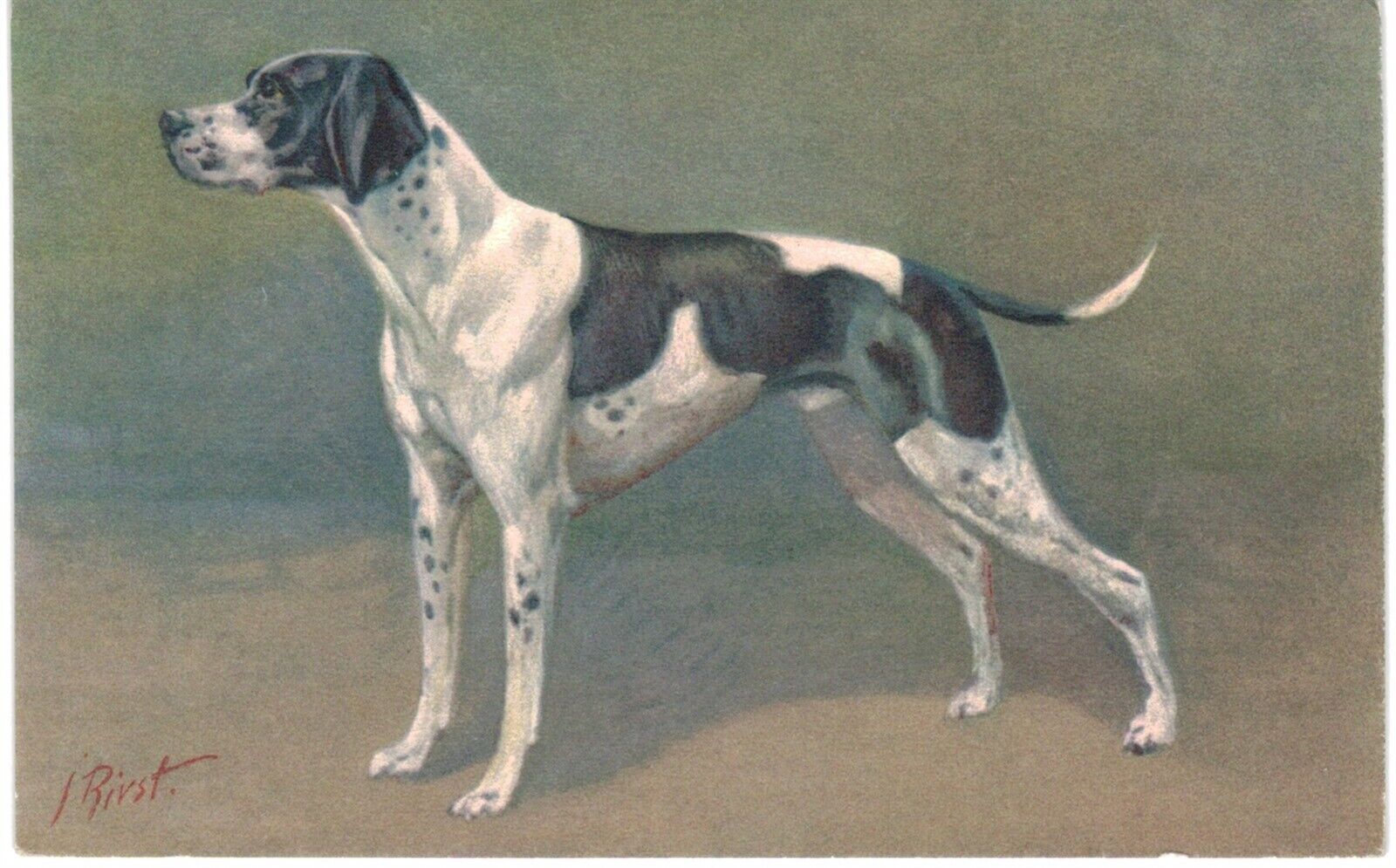 Rivet Pointer Dog Portrait Artist Signed 1910 A/S 