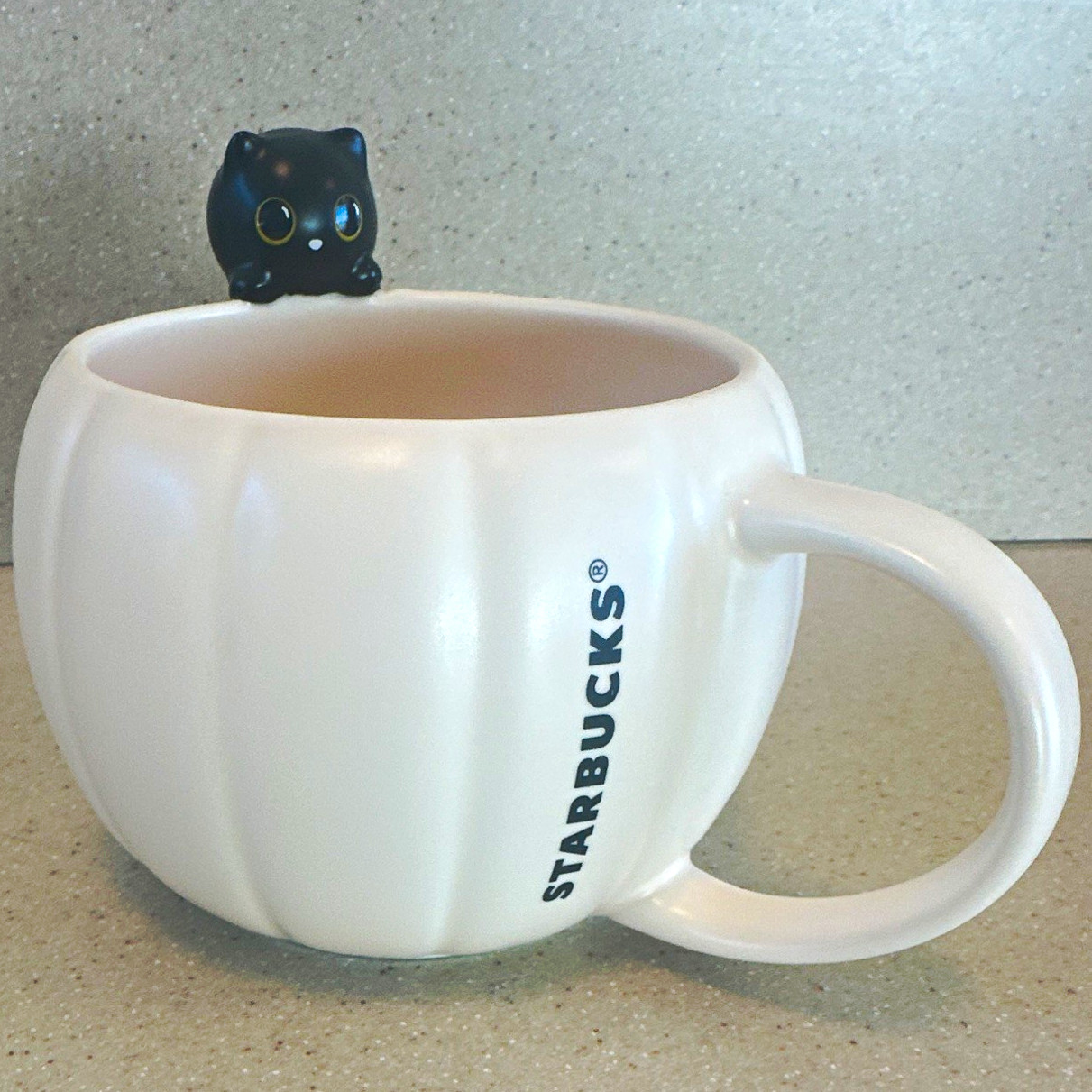 Rare Starbucks White Pumpkin Mug with Black Cat 🎃🐈⬛ Rare Starbucks White Pumpkin Mug with Black Cat 🎃🐈⬛