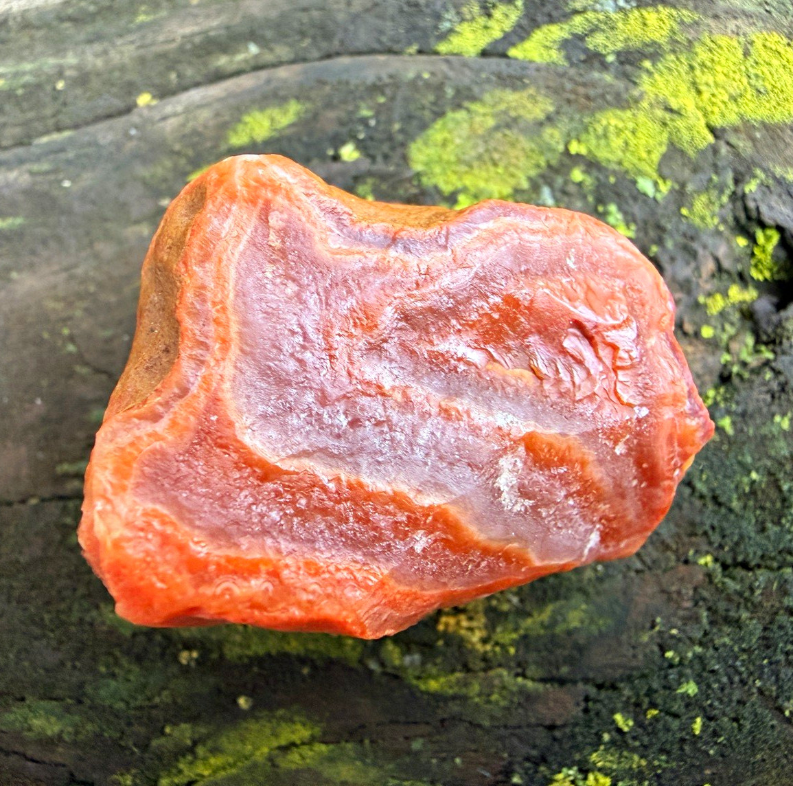 Lake Superior Agate Floater 1.46 oz Deep Red Orange Banded Natural LSA Lake Superior Agate Floater 1.46 oz Deep Red Orange Banded Natural LSA