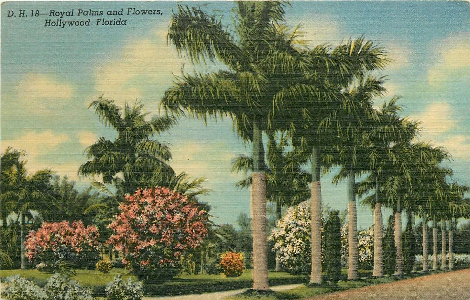 Hollywood Beach Royal Palms and Flowers Florida FL Postcard