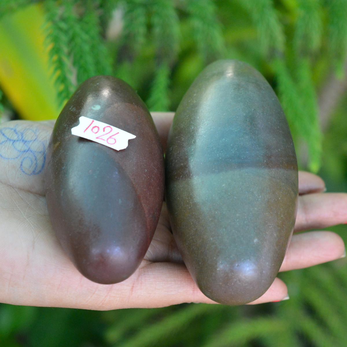 3.75"3.25"Inch Original Swayambhu Narmadeshwar Narmada Stone For Temple ~1026
