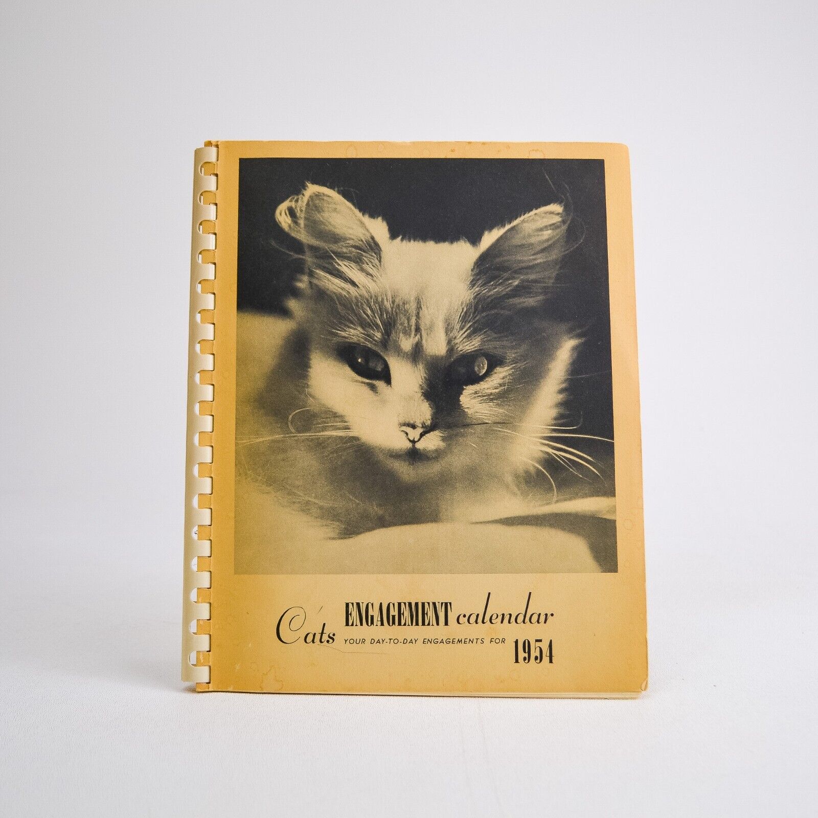 1954 Vintage Cats Engagement Calendar Comb-Bound