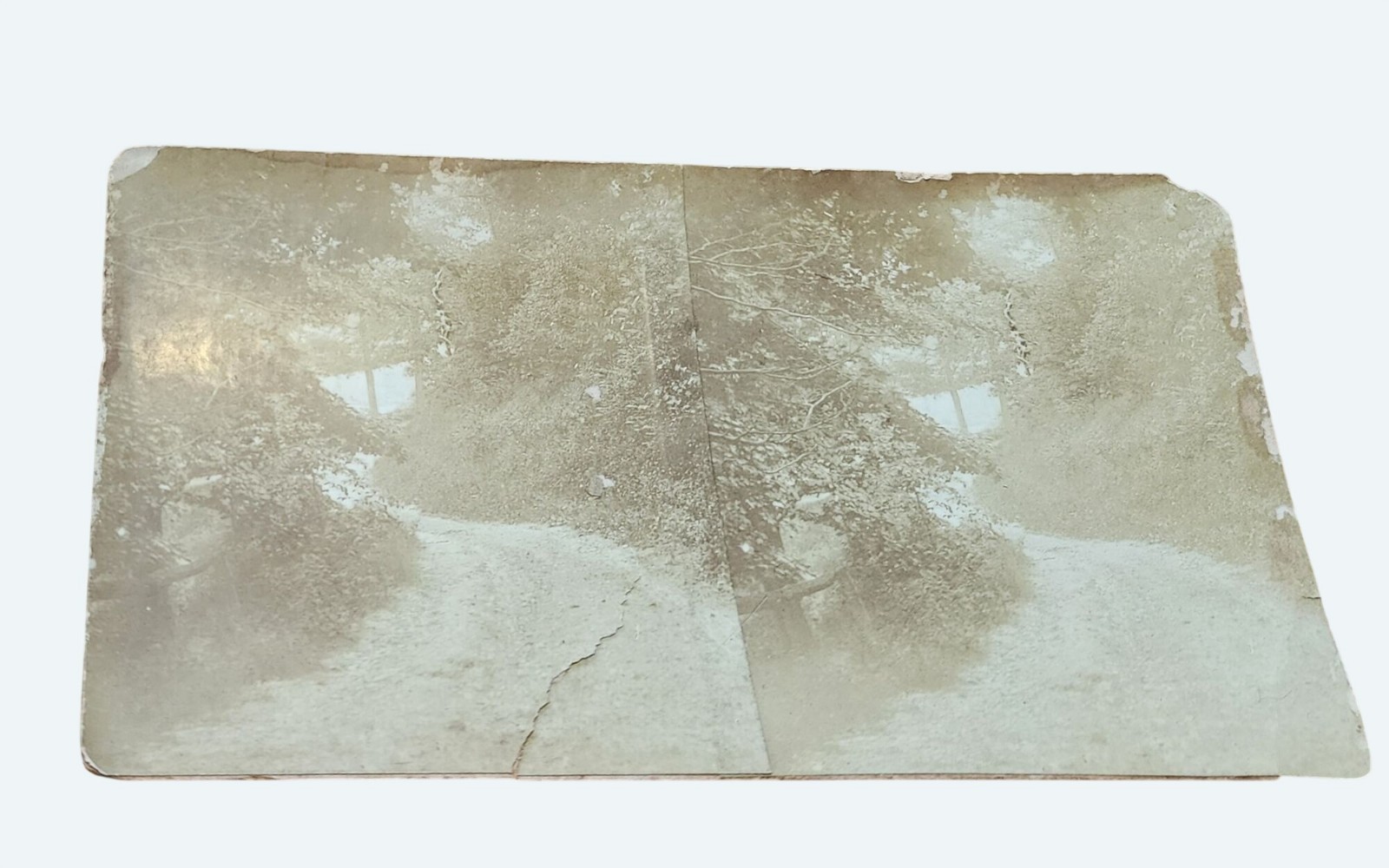 Antique Stereoview Wooded Path Photography Sepia-Toned Many flaws Antique Stereoview Wooded Path Photography Sepia-Toned Many flaws