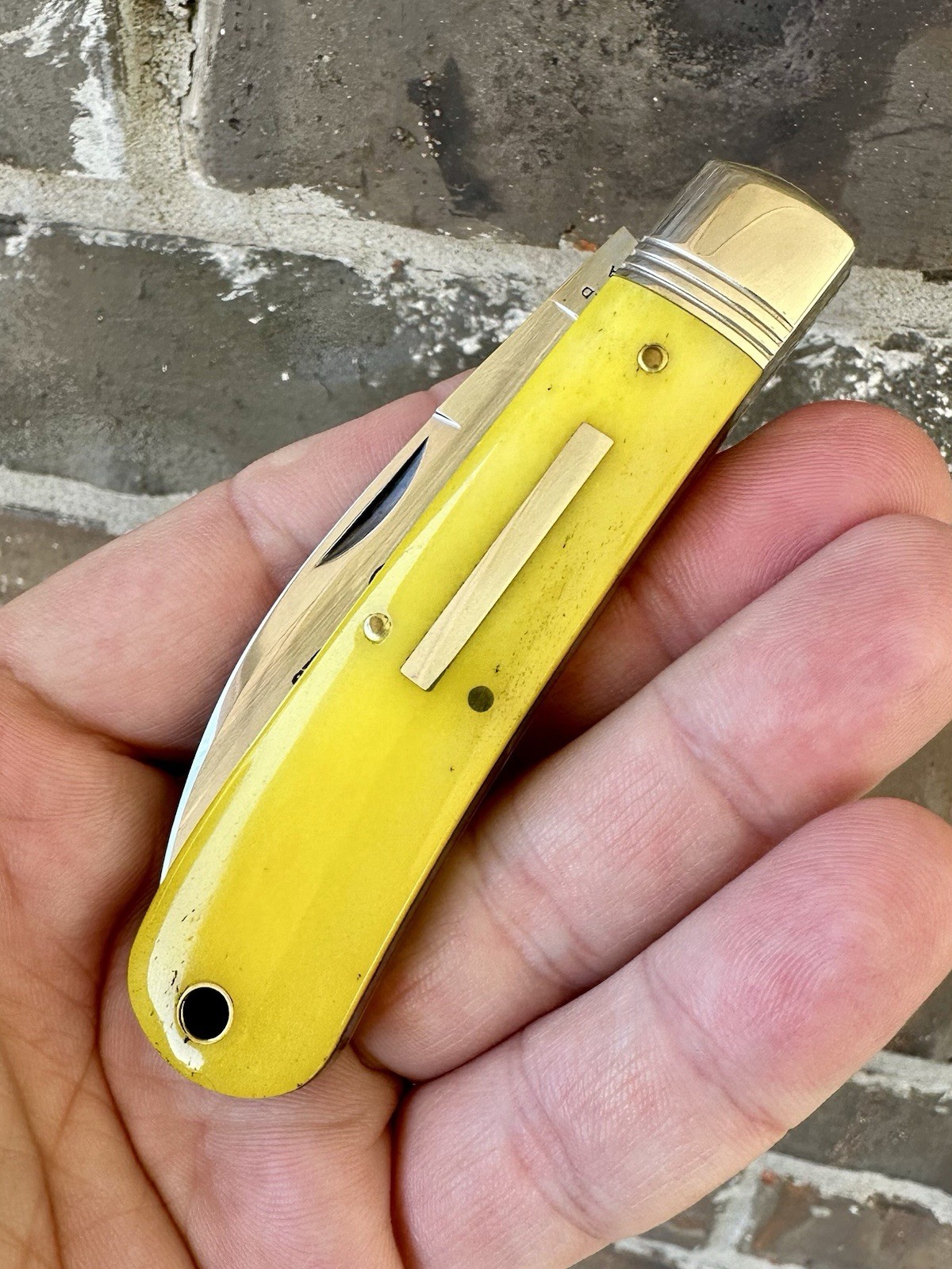 NEW Great Eastern Cutlery GEC 47 Viper Circle A SFO Smooth Yellow Bone Knife NEW Great Eastern Cutlery GEC 47 Viper Circle A SFO Smooth Yellow Bone Knife
