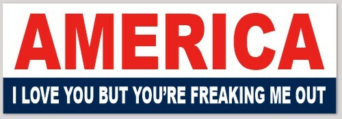 FUNNY BUMPER STICKER DECAL "AMERICA I LOVE YOU BUT YOU'RE FREAKING ME OUT" FUNNY BUMPER STICKER DECAL "AMERICA I LOVE YOU BUT YOU'RE FREAKING ME OUT"