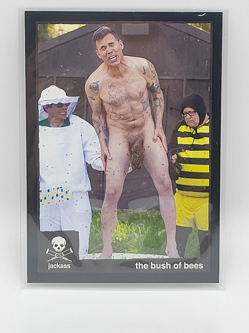 2022 ZEROCOOL JACKASS Card #s-40 the bush of bees Base Card