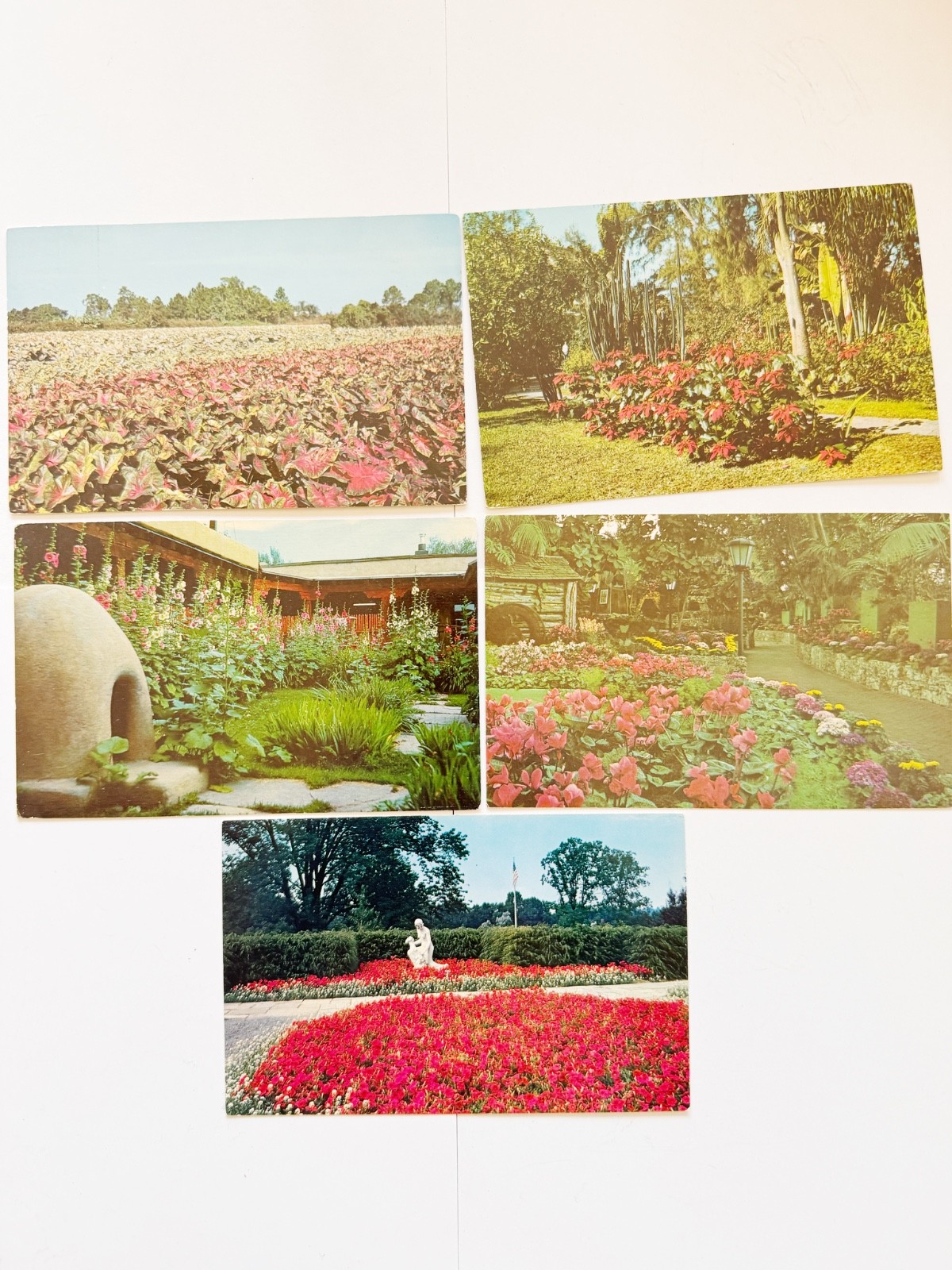 Lot of 5 Vintage Posted Postcards Gardens Flowers Multi-State 1950s-70s Lot of 5 Vintage Posted Postcards Gardens Flowers Multi-State 1950s-70s