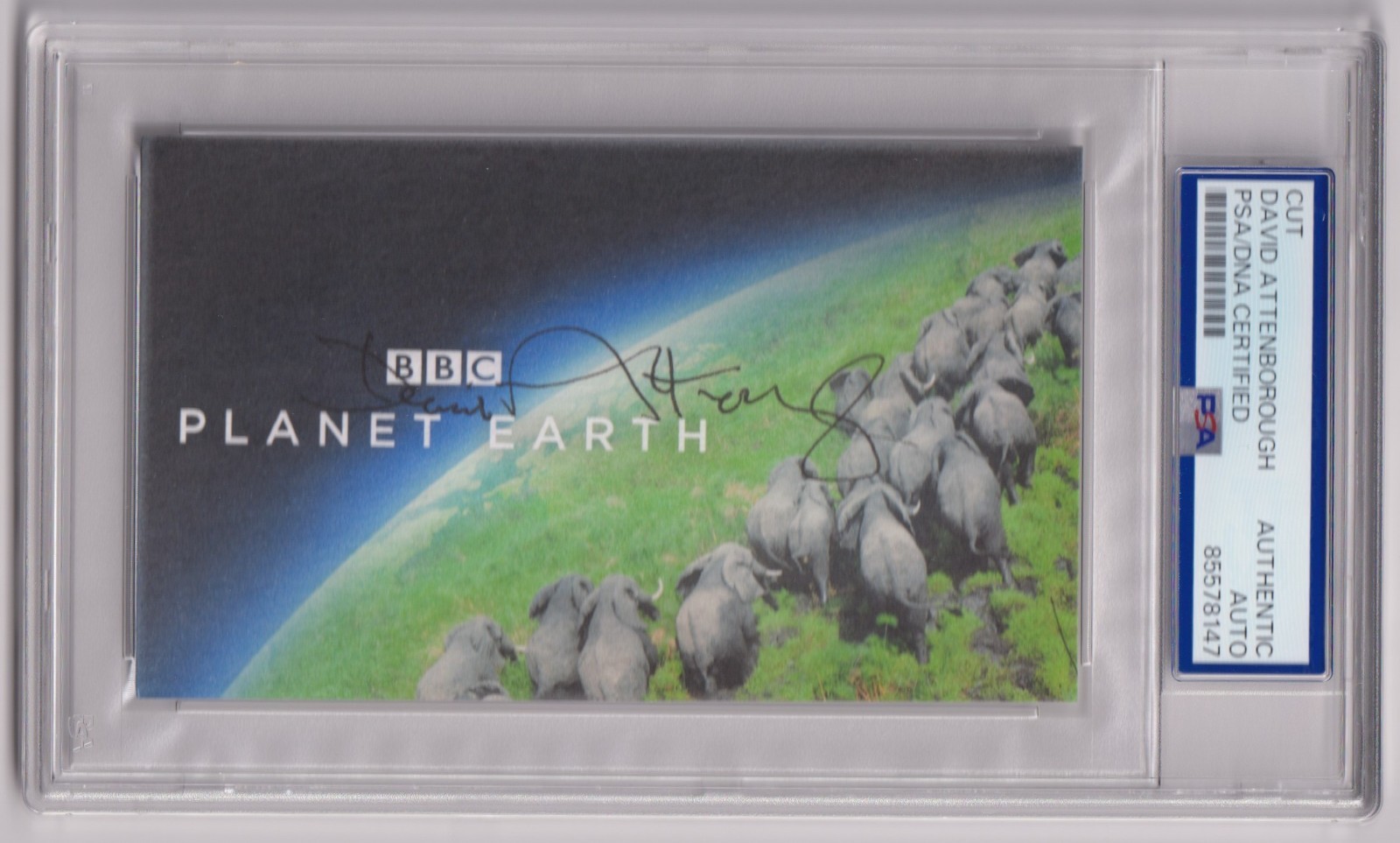 Sir DAVID ATTENBOROUGH Signed AUTO Planet Earth Art Card PSA DNA Certified Sir DAVID ATTENBOROUGH Signed AUTO Planet Earth Art Card PSA DNA Certified