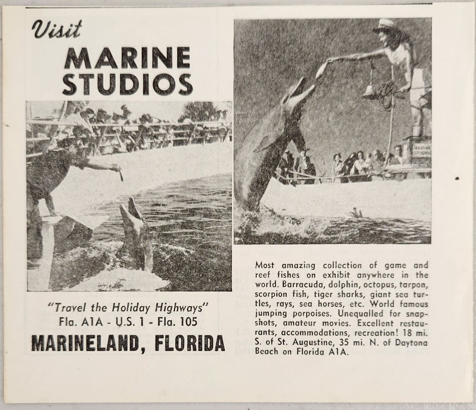 1948 Print Ad Visit Marine Studios Dolphins Perform Marineland,Florida