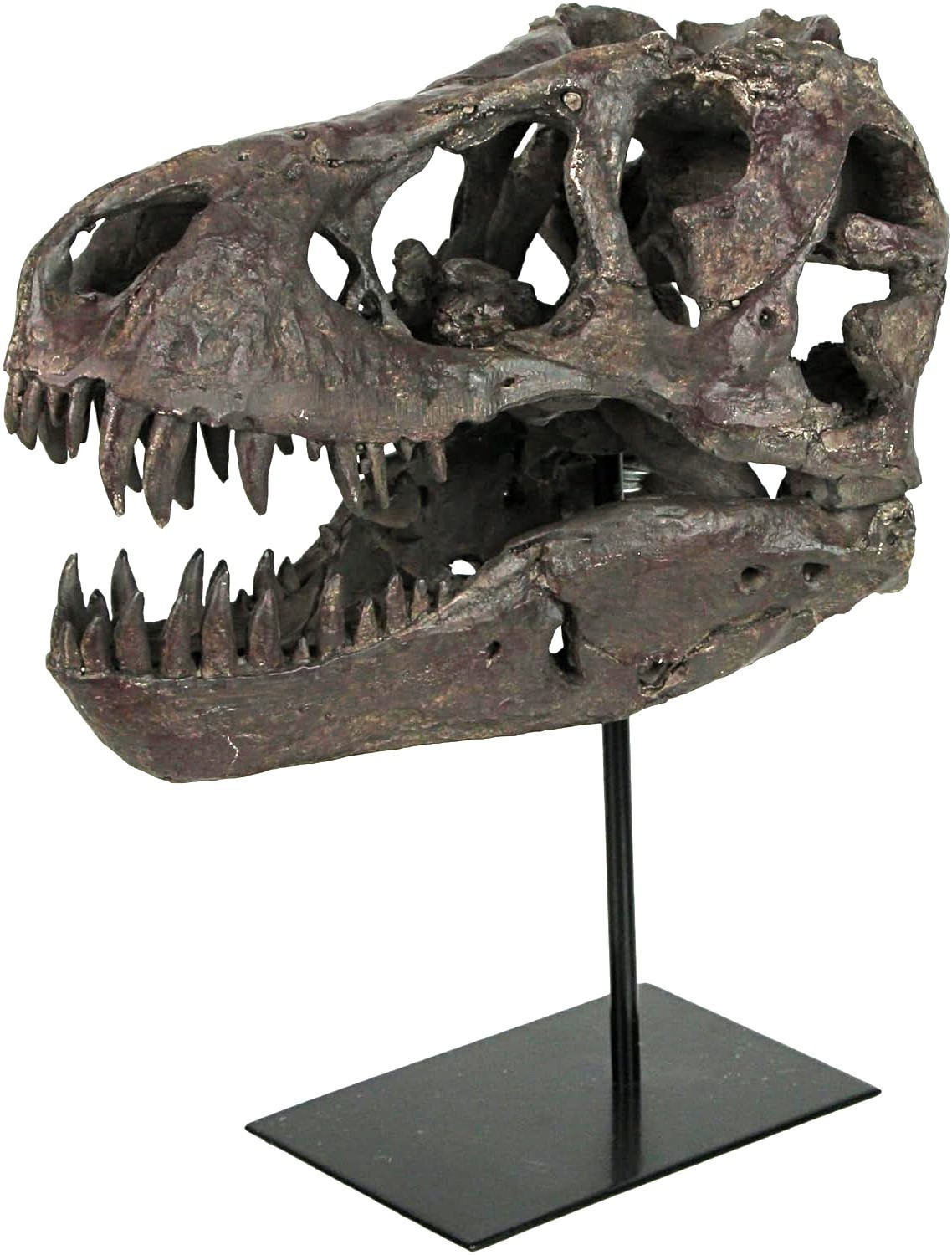 TYRANNOSAURUS SKULL REPLICA DINOSAUR BONE BIG SCULPTURE HEAD TREX LARGE NICE NEW TYRANNOSAURUS SKULL REPLICA DINOSAUR BONE BIG SCULPTURE HEAD TREX LARGE NICE NEW