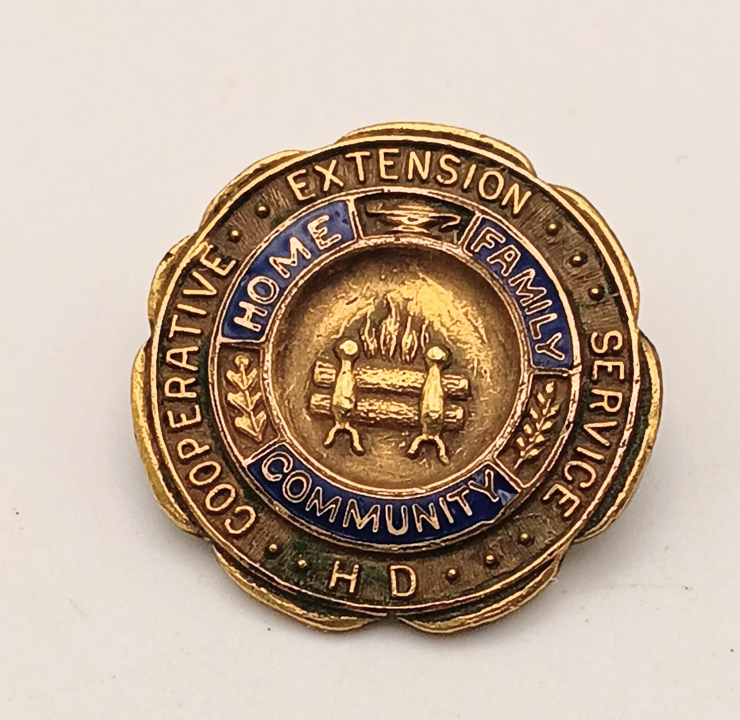 Vintage 10K Gold Filled Cooperative Extension Service HD Pin Home Family Vintage 10K Gold Filled Cooperative Extension Service HD Pin Home Family