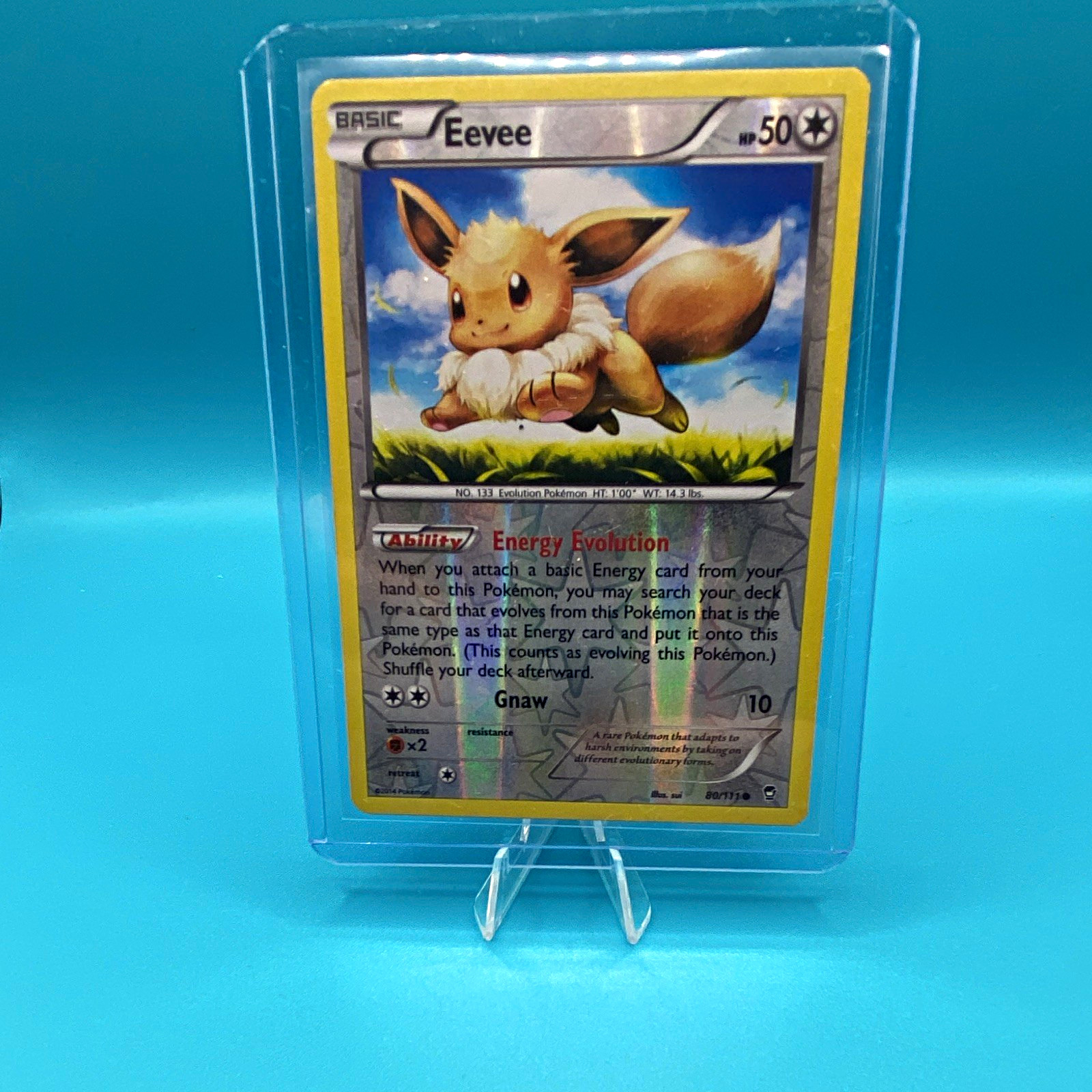 The Pokémon Company Eevee Black & White 80/113 Reverse Holo Pokémon TCG Card The Pokémon Company Eevee Black & White 80/113 Reverse Holo Pokémon TCG Card