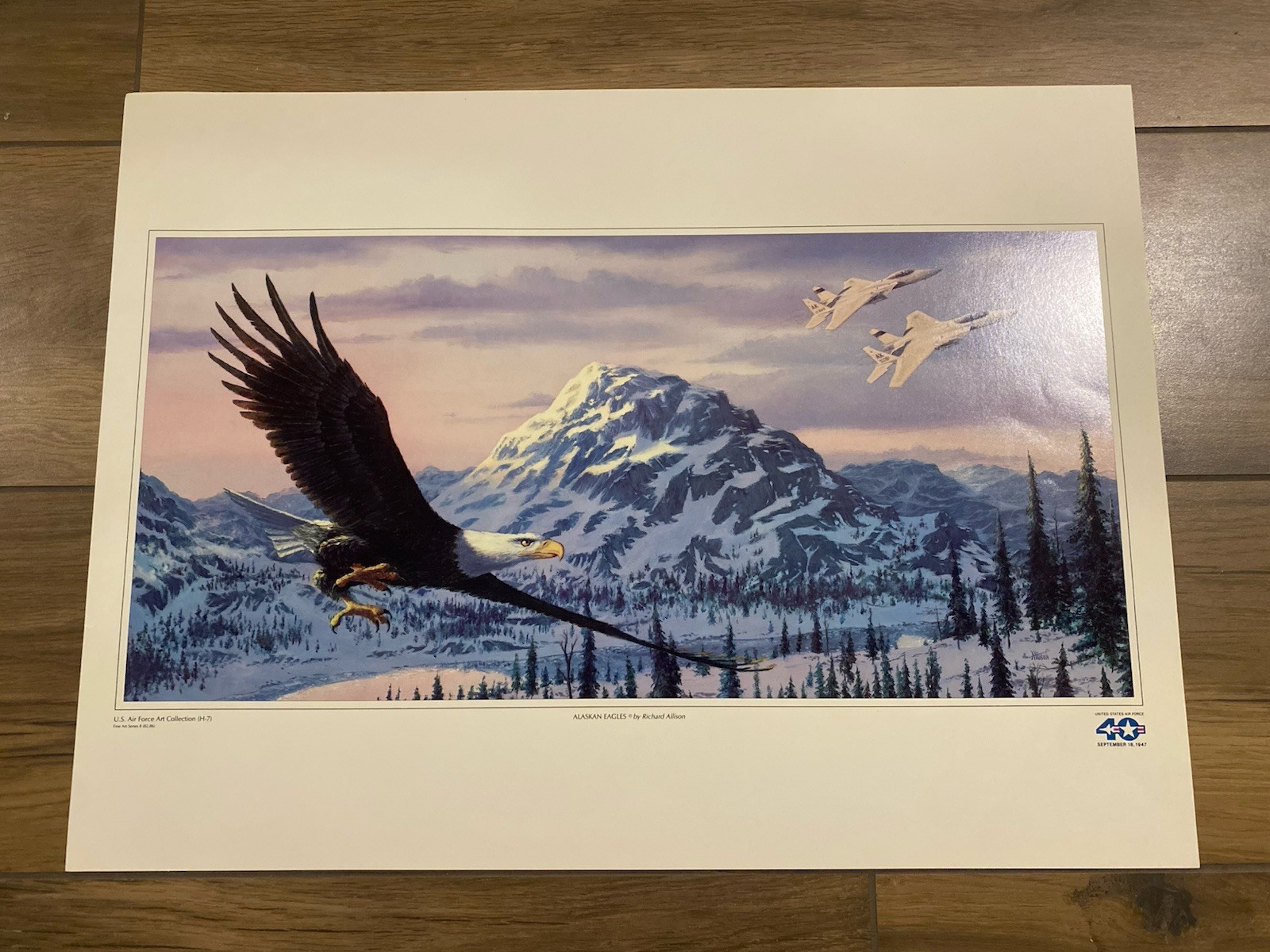 đŠī¸ RARE 1987 US AIR FORCE USAF 40TH ANNIVERSARY LITHOGRAPH ALASKAN EAGLES đŠī¸ đŠī¸ RARE 1987 US AIR FORCE USAF 40TH ANNIVERSARY LITHOGRAPH ALASKAN EAGLES đŠī¸