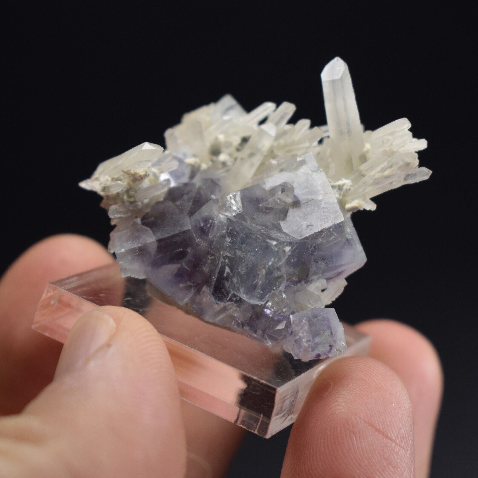 SUPERB Fluorite & Quartz Crystals Cluster (China)  -  #271