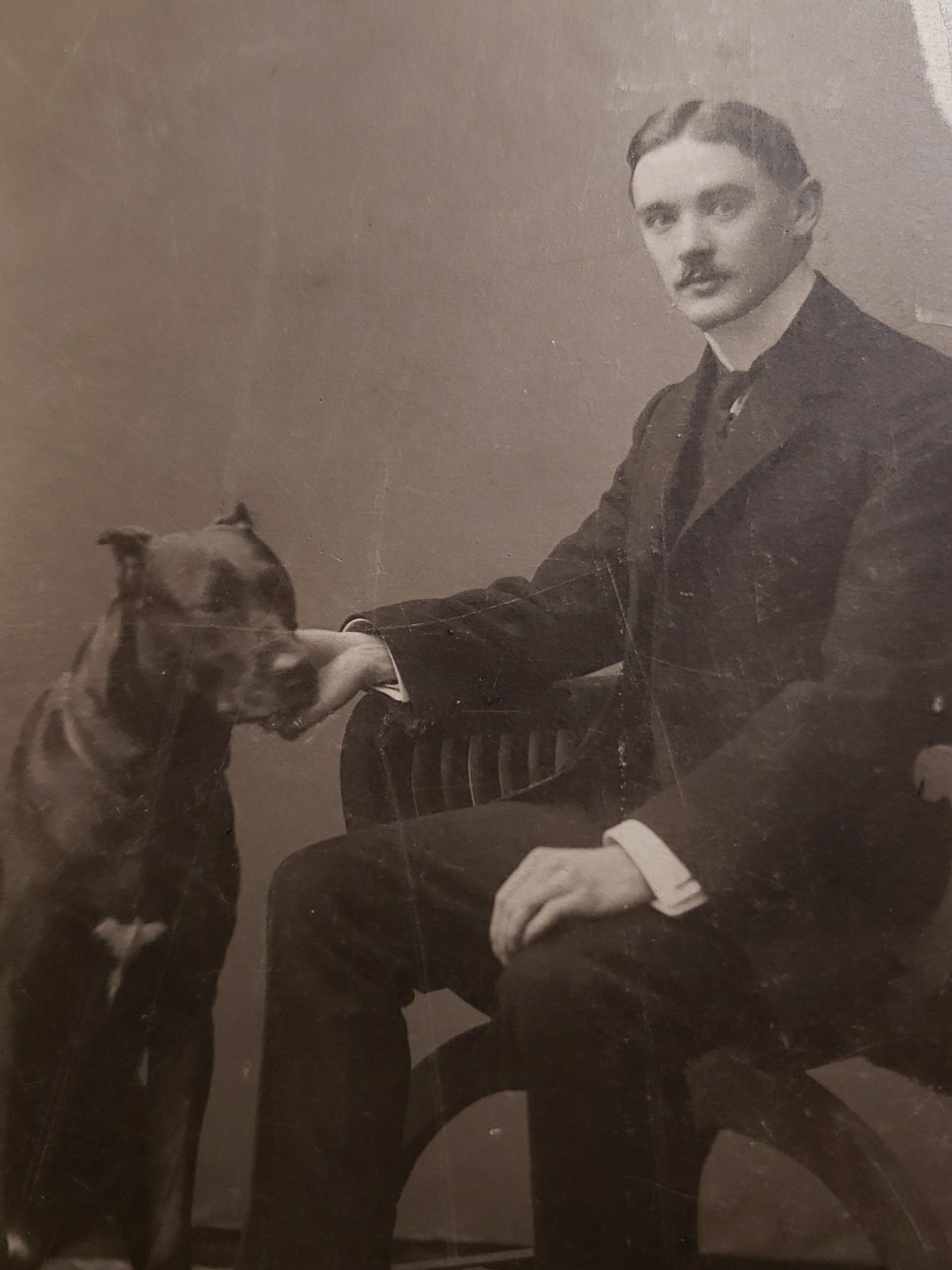 Antique Pre-WWI Imperial Russian Cyrillic Cabinet Card Back Litho Great Dane Dog Antique Pre-WWI Imperial Russian Cyrillic Cabinet Card Back Litho Great Dane Dog