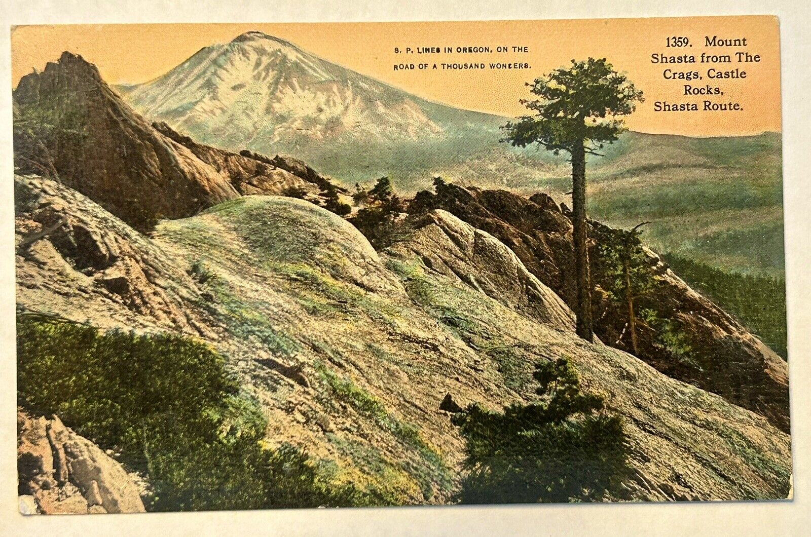 Mount Shasta from the Crags, Castle Rocks, Shasta Route 1909 Rotograph Postcard