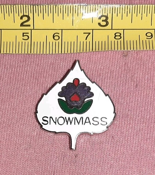 Vtg Aspen Snowmass Ski Resort White Leaf Purple Flower Travel Souvenir Lapel Pin Vtg Aspen Snowmass Ski Resort White Leaf Purple Flower Travel Souvenir Lapel Pin