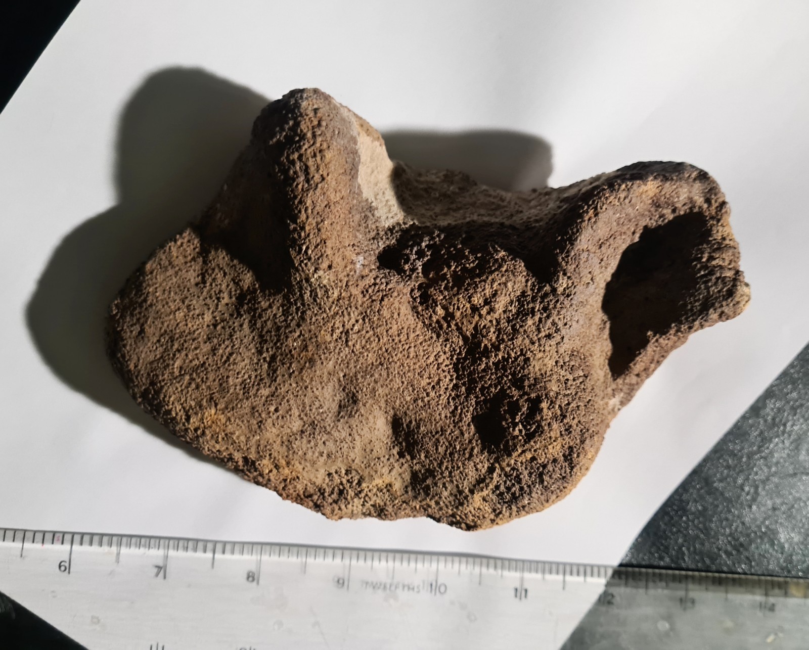 Amazing, Incredibly Rare & Significant UK Pterosaur Hand / Wing cast Amazing, Incredibly Rare & Significant UK Pterosaur Hand / Wing cast
