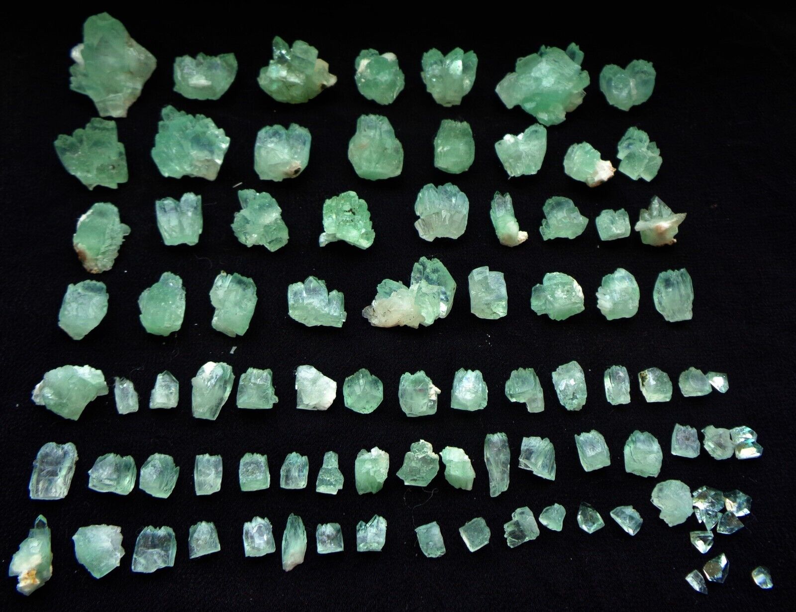 Lot Of Green Apophyllite Crystals ( 85 NOS ) Minerals Specimen