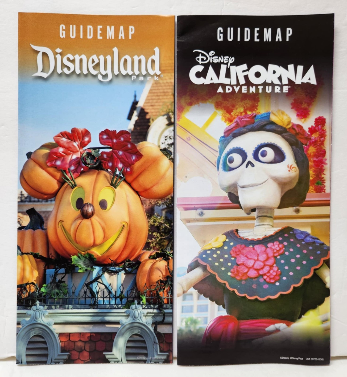 Disneyland Map 2026 & Disney California Adventure Guide Map