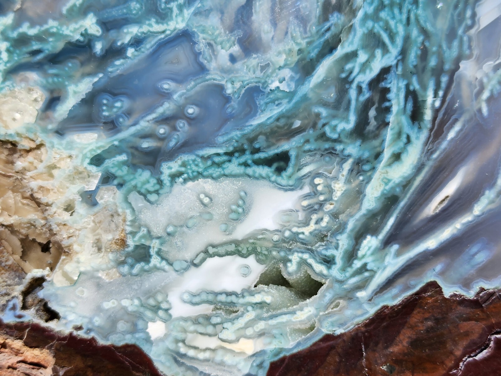 Frieda Bed Thunderegg - Ultra Rare "AAA" Museum Quality High Polish From Oregon.